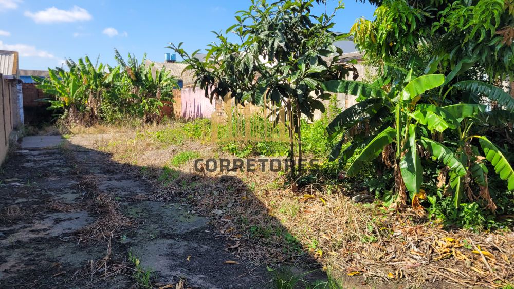 Terreno Rio Branco Canoas 