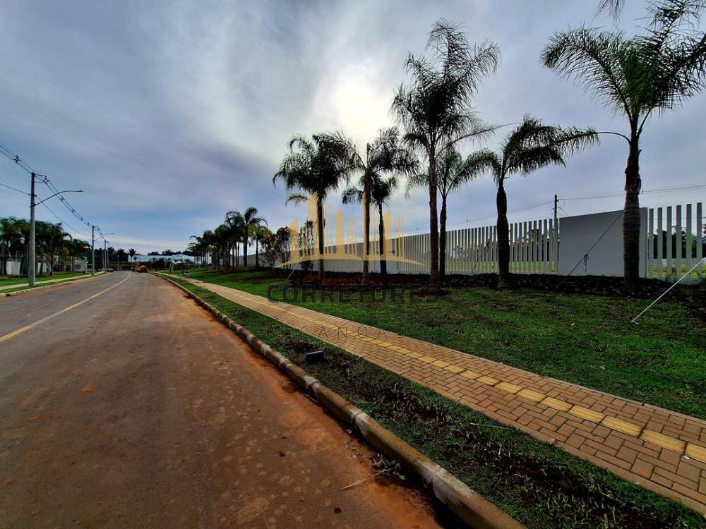 Terreno Moinhos de Vento Canoas 