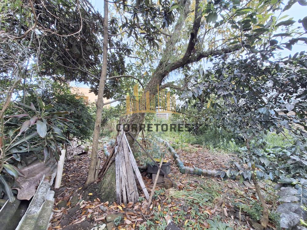 Terreno Igara Canoas 